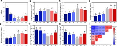 Network and stoichiometry analysis revealed a fast magnesium and calcium deficiency of mulched Phyllostachys violascens